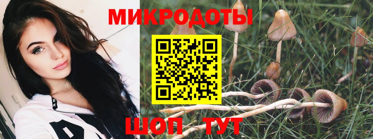 Псилоцибиновые грибы ЛСД  Вход с VPN  Галлюциногенные грибы Psilocybine cubensis  Нарткала 